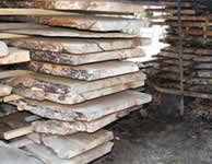 teak wood